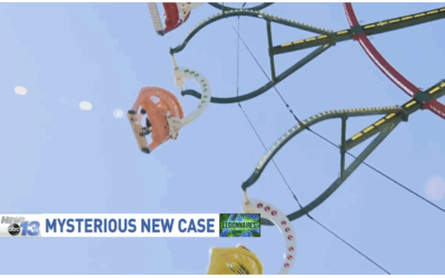 Lesson 4: Even if you can’t make it to the Fair, find Thanks