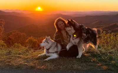 Justice for two huskies: Brian Elston Law seeks accountability for Swannanoa kennel case
