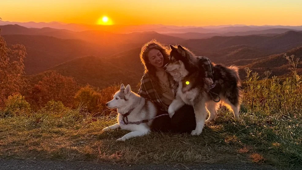 Justice for two huskies: Brian Elston Law seeks accountability for Swannanoa kennel case